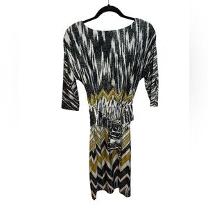 Ellen Tracy Chevron Dolman Tie Waist Dress